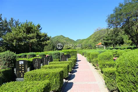 墓園植物|墓地绿化植物配置指南，满足墓主多元需求